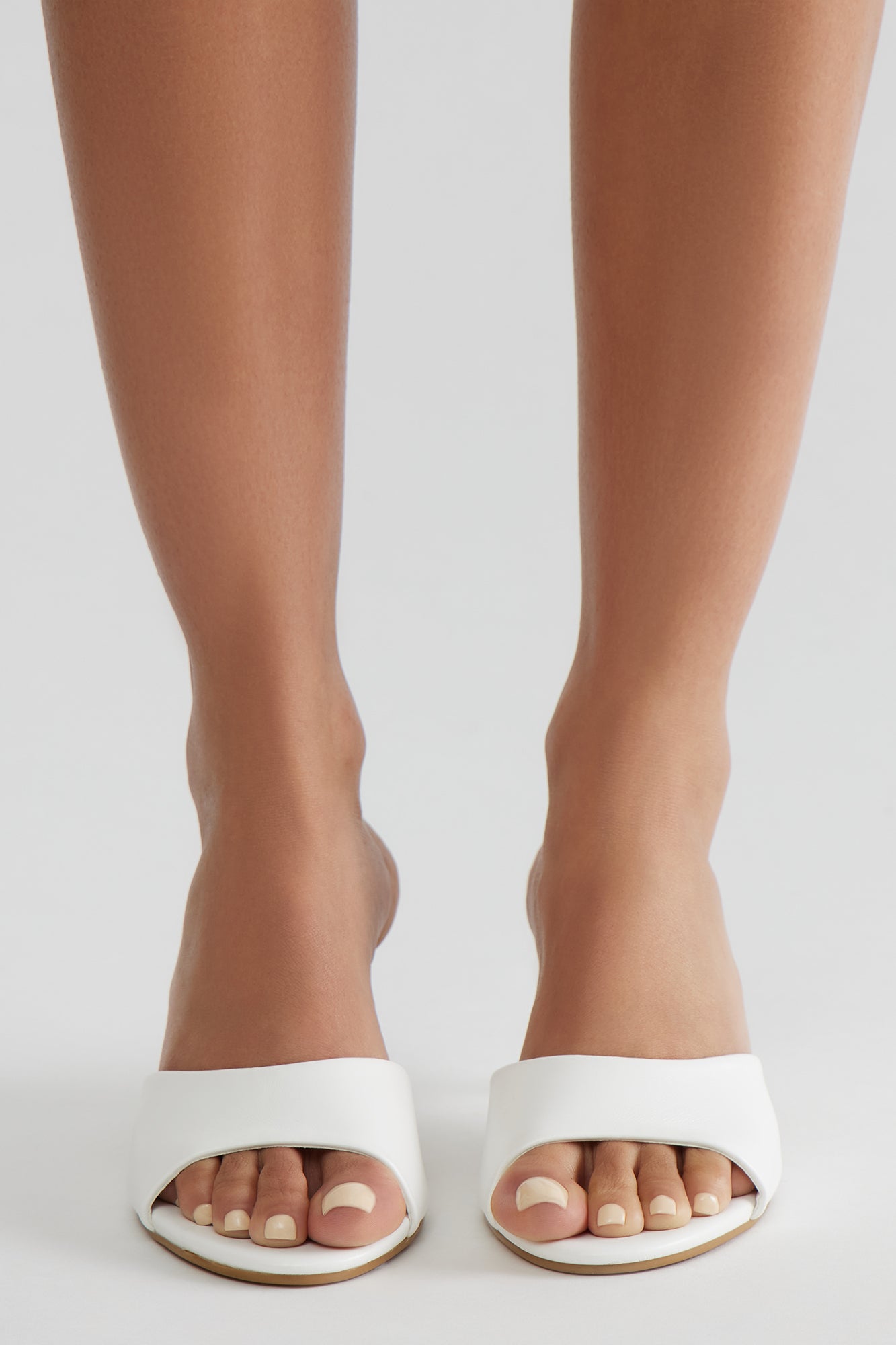 Haille Mules