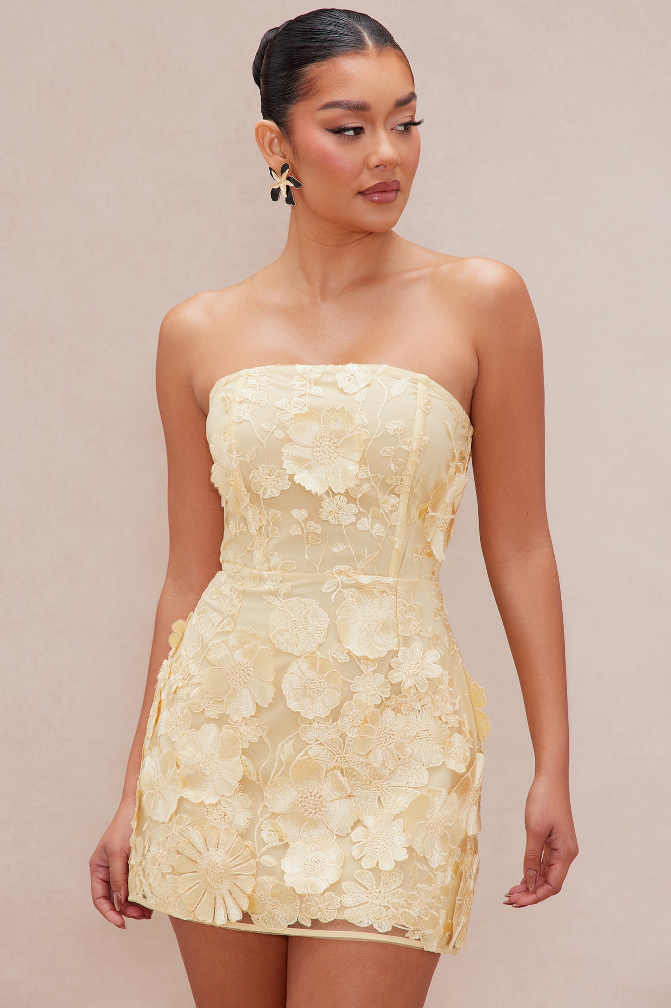 Marcella Embroidered A-Line Mini Dress