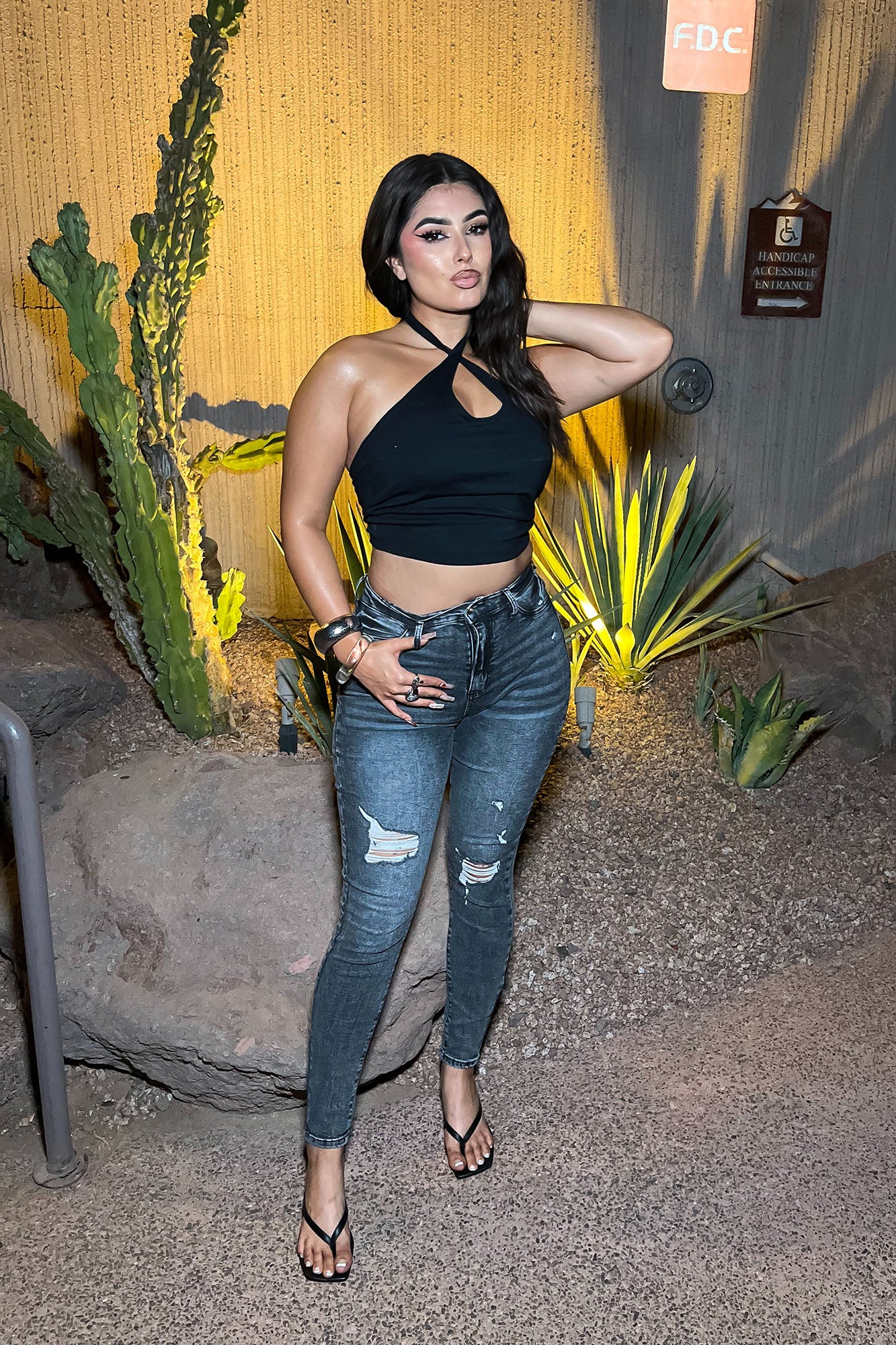 Living Life High Stretch Skinny Jeans