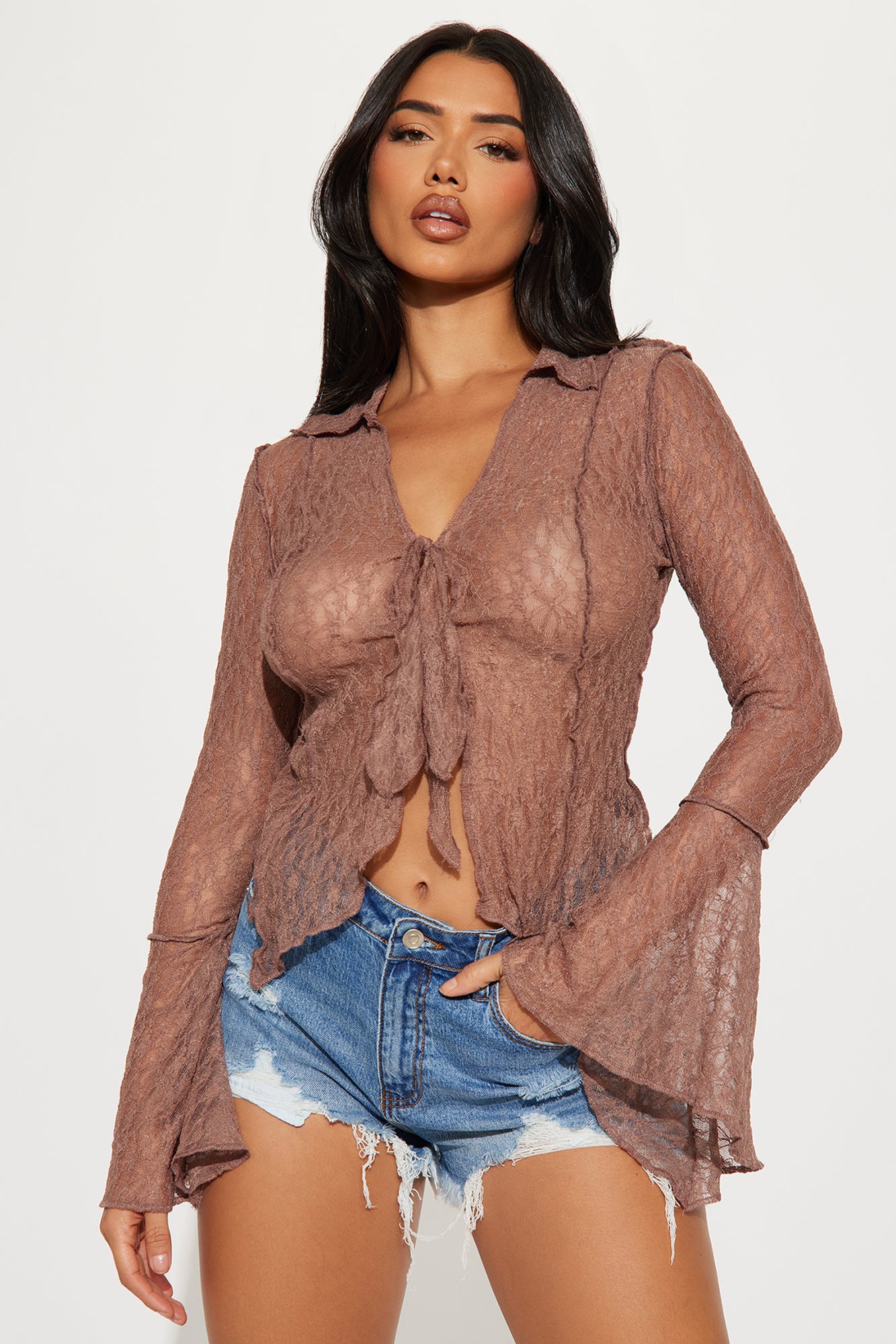 Shirley Lace Long Sleeve Sheer Flyaway Top