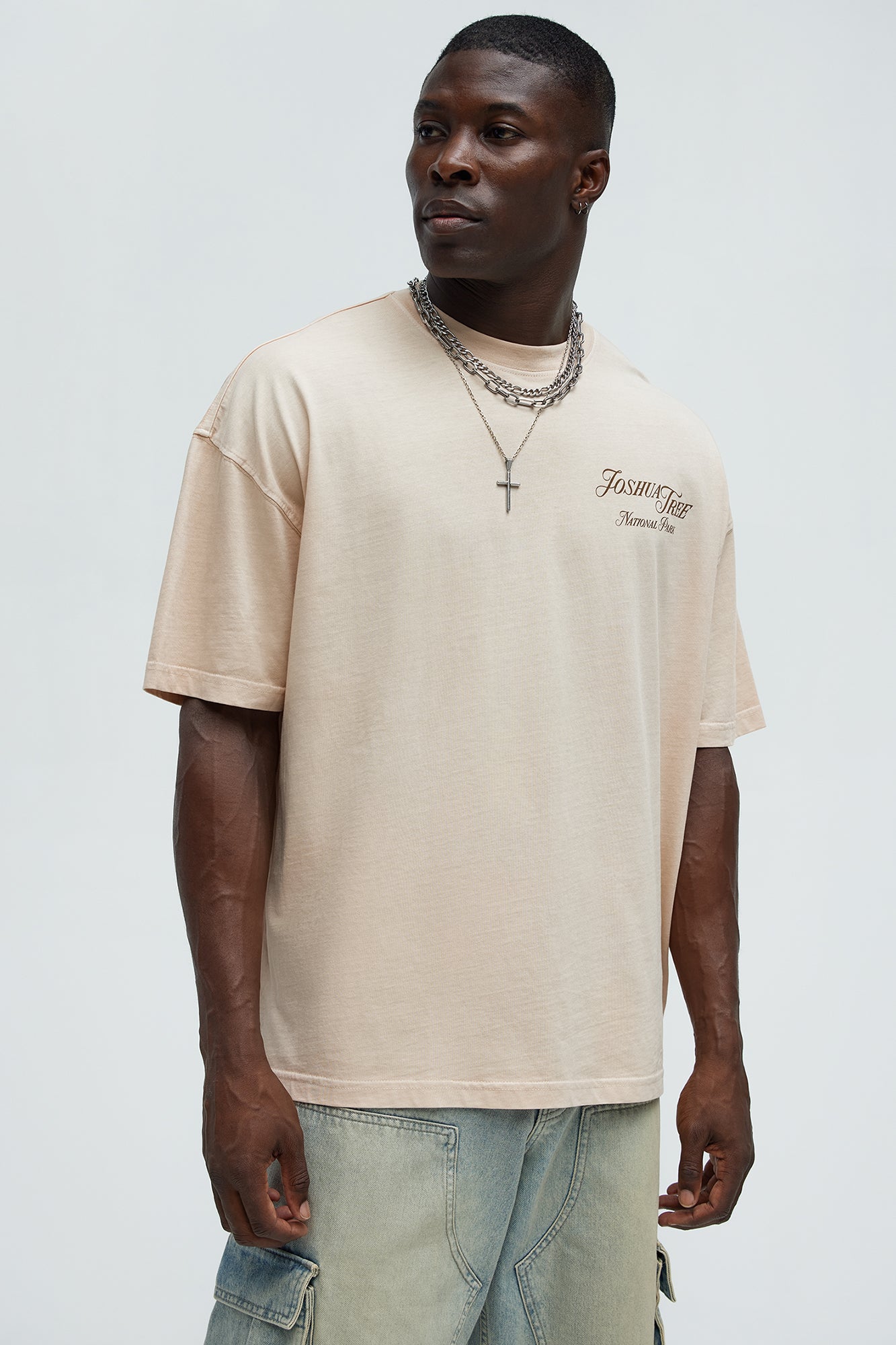 Joshua Tree Oversized Short Sleeve Tee